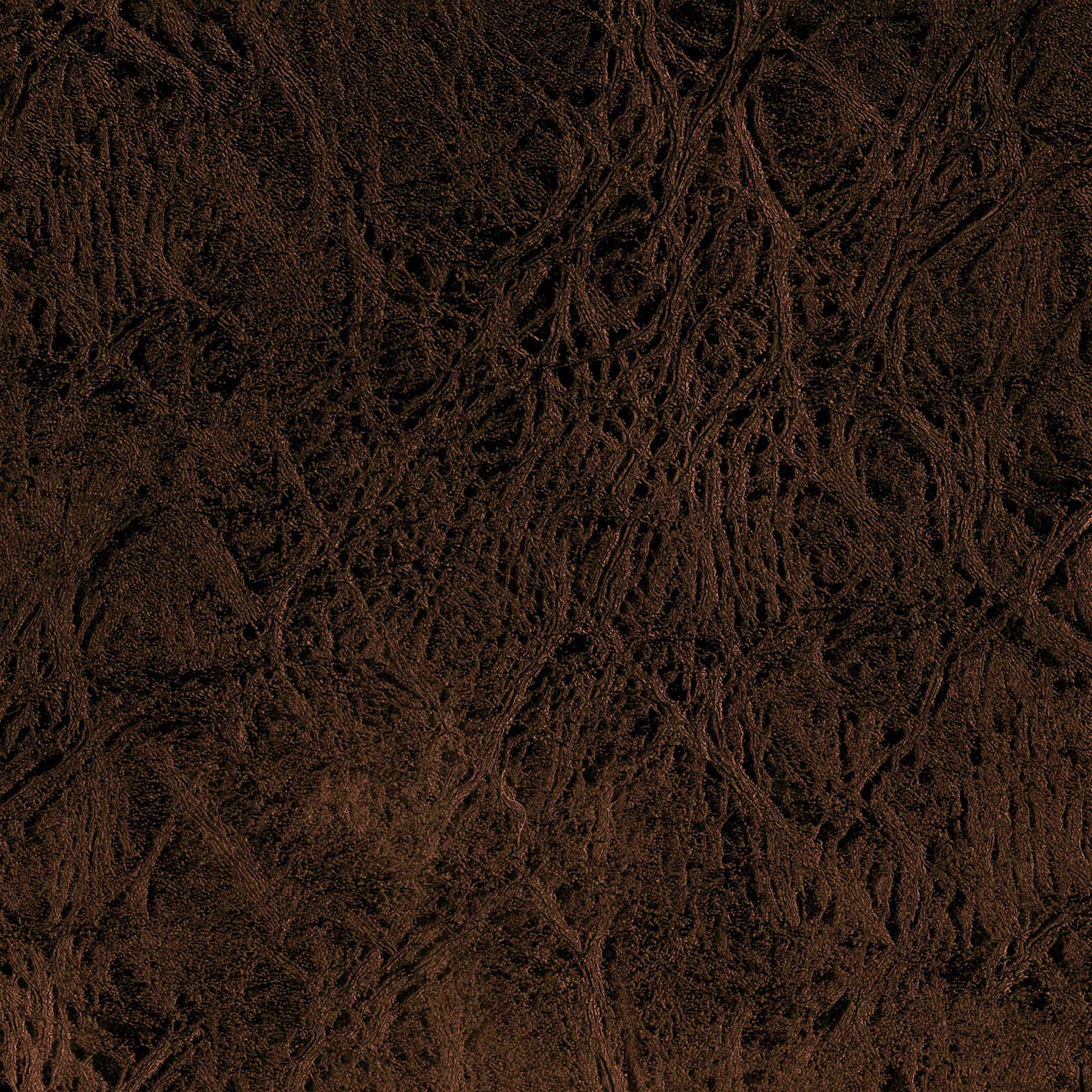 Brisbane - Bronze