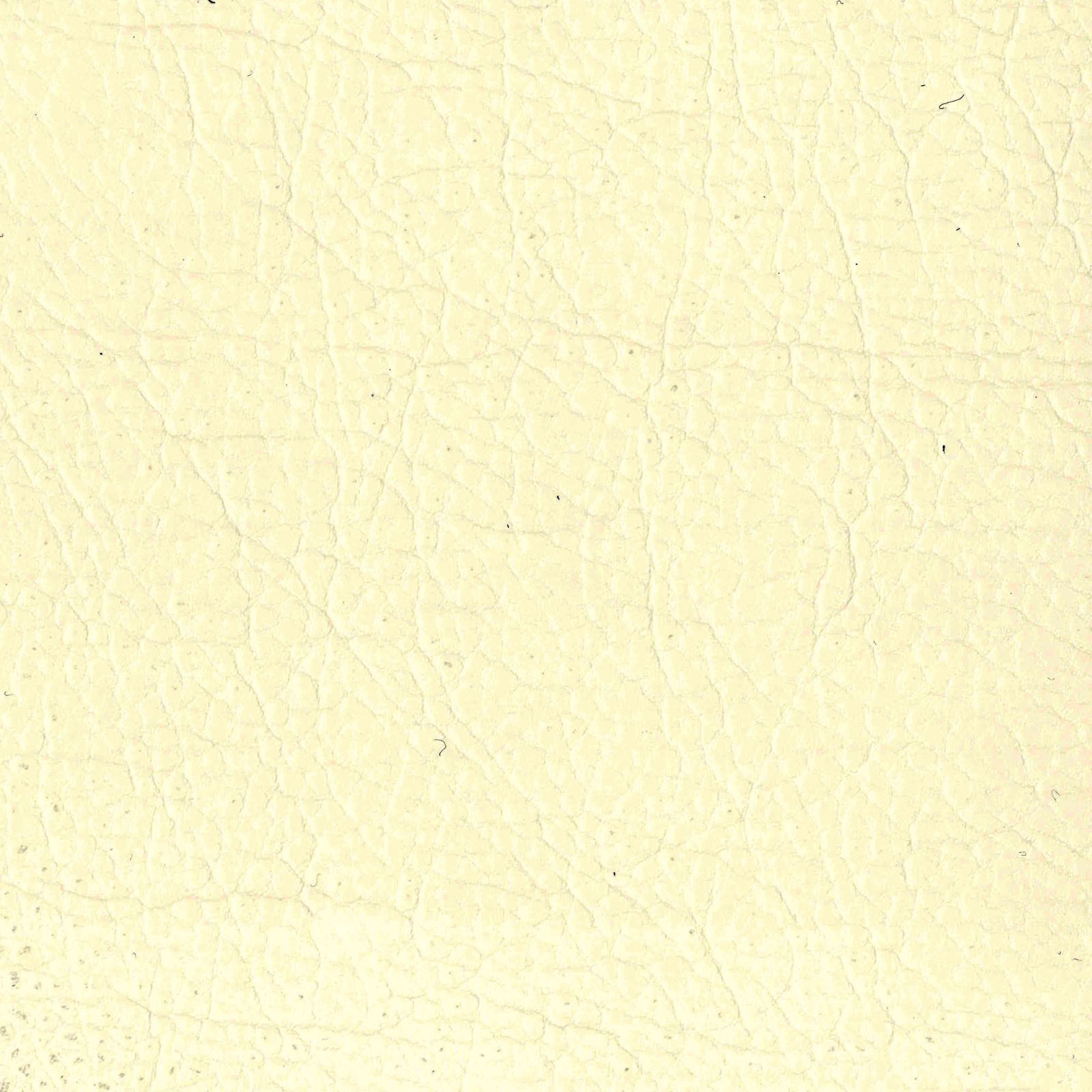 Cloverdale - Cream