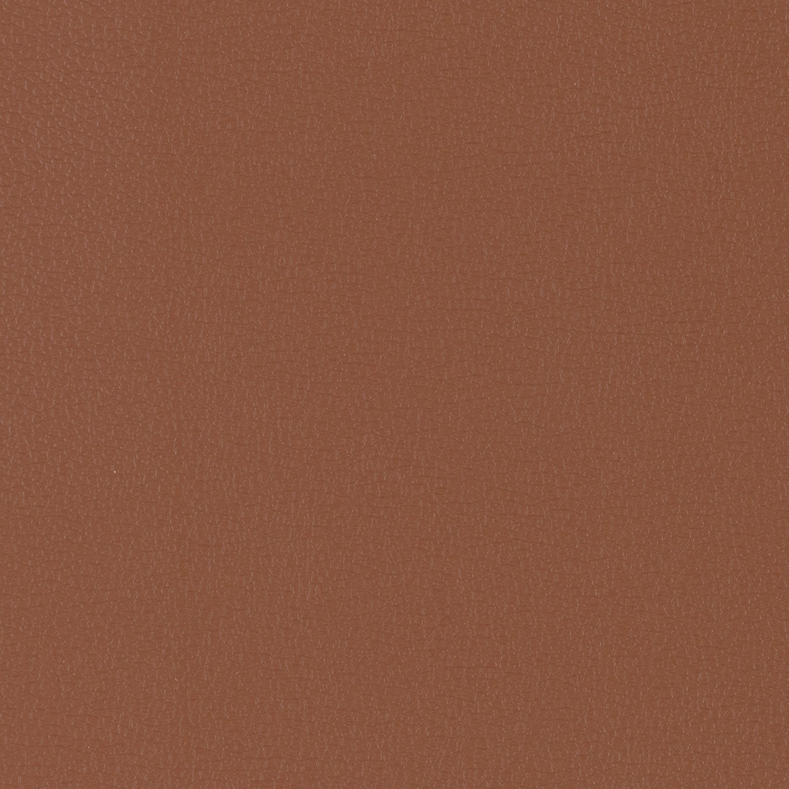 Longitude - MBL-7696 - Morocco