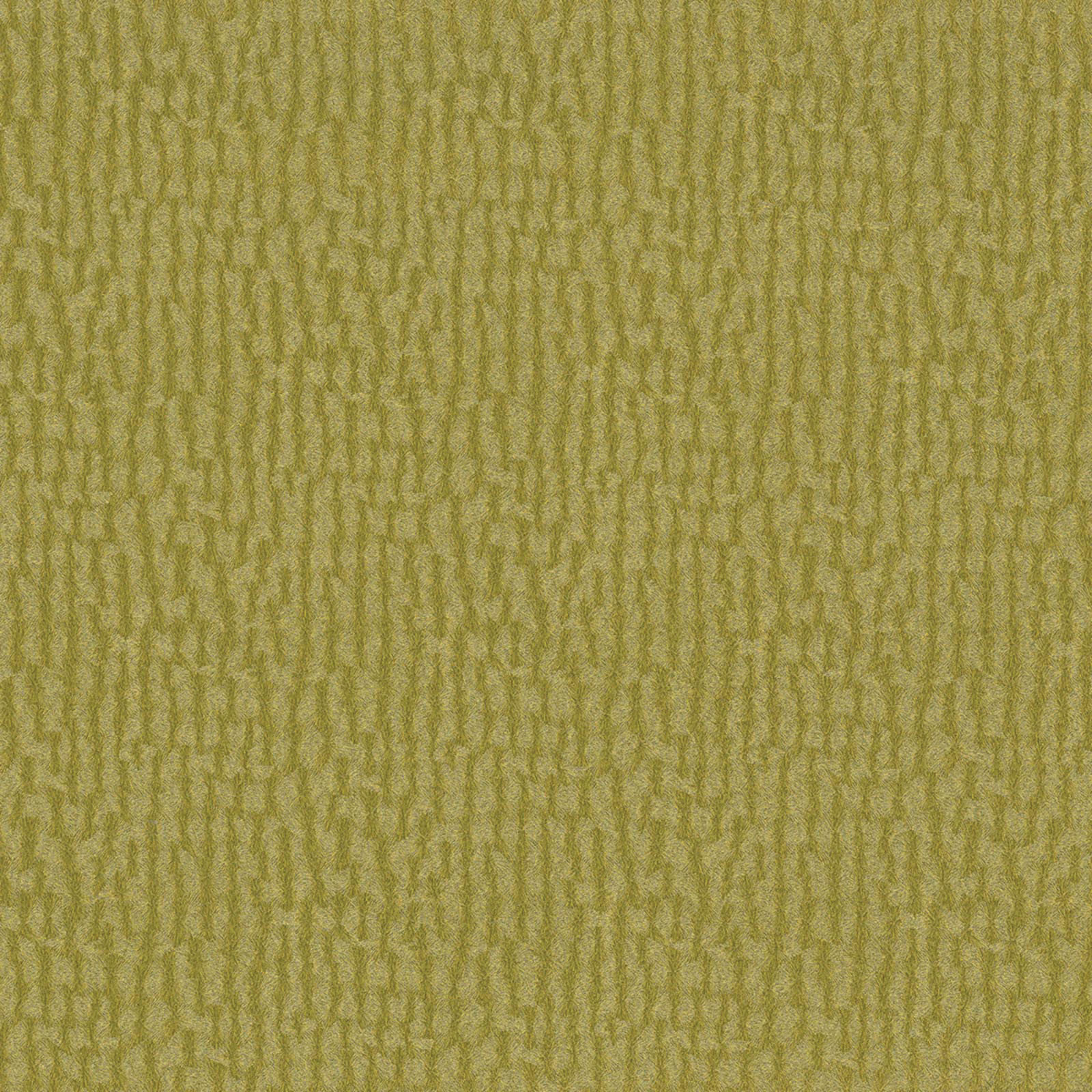 Gemini - GEM-2570 - Parakeet