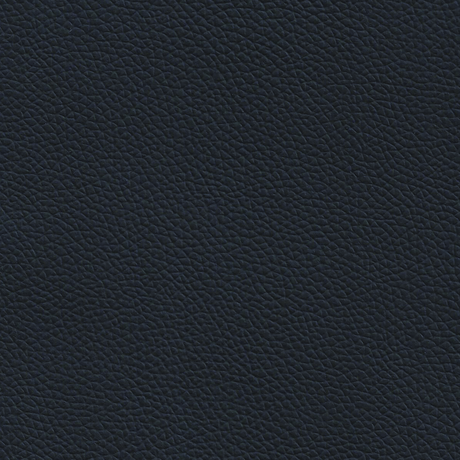 Longitude - LON-7692 - Ebony