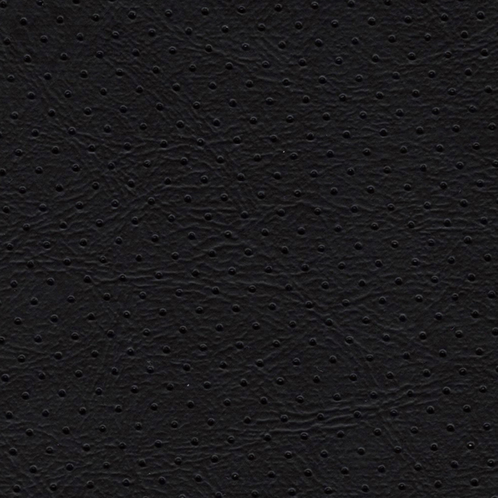 Orion - ORI-1612 - Ebony