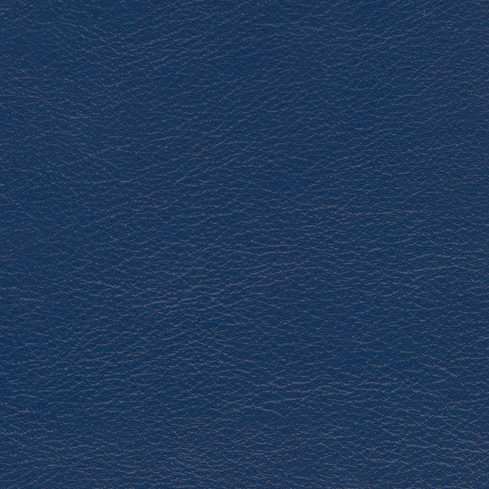 Prelude - PRL-1018 - Blue Heron