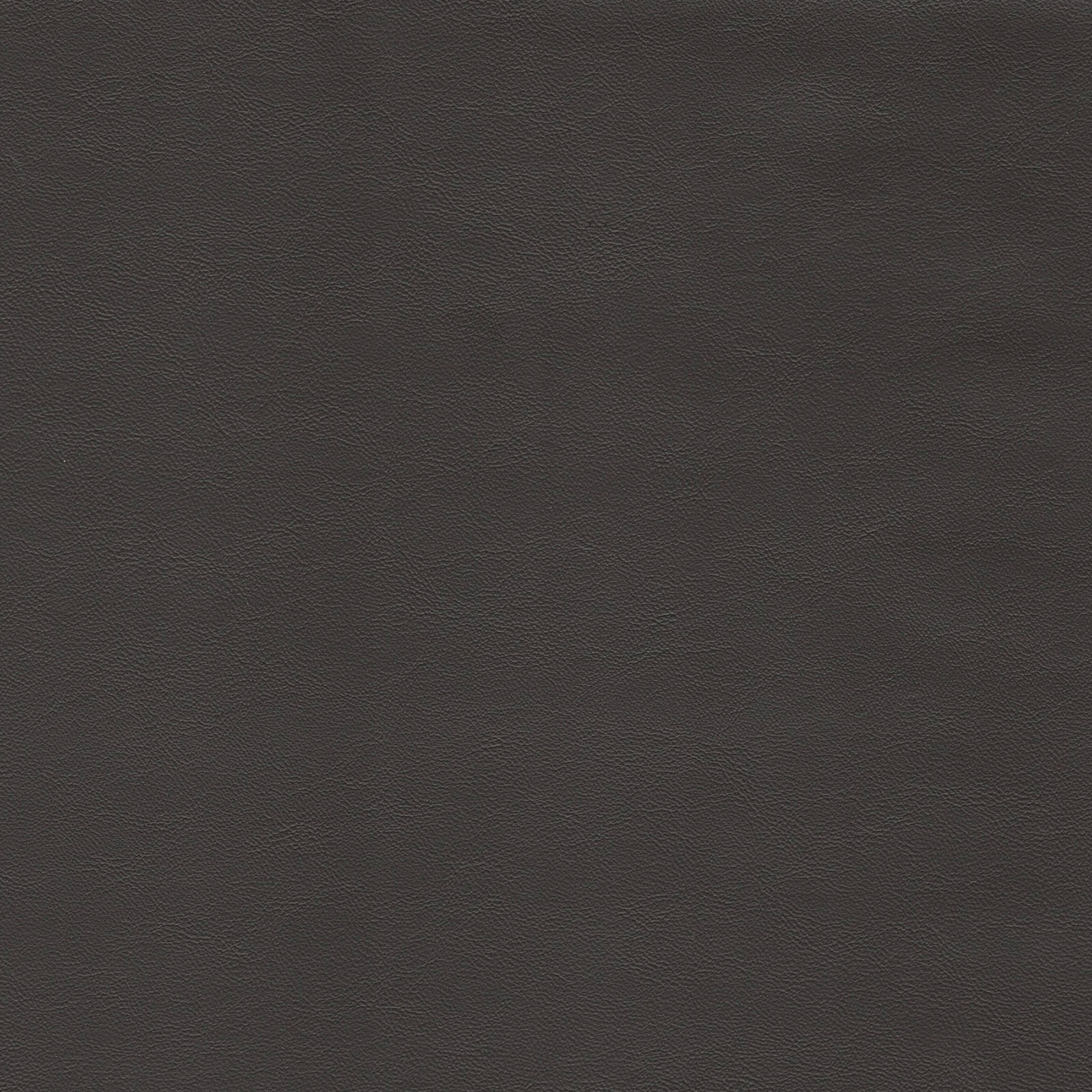 Savoy II - SAV-9512 - Carob