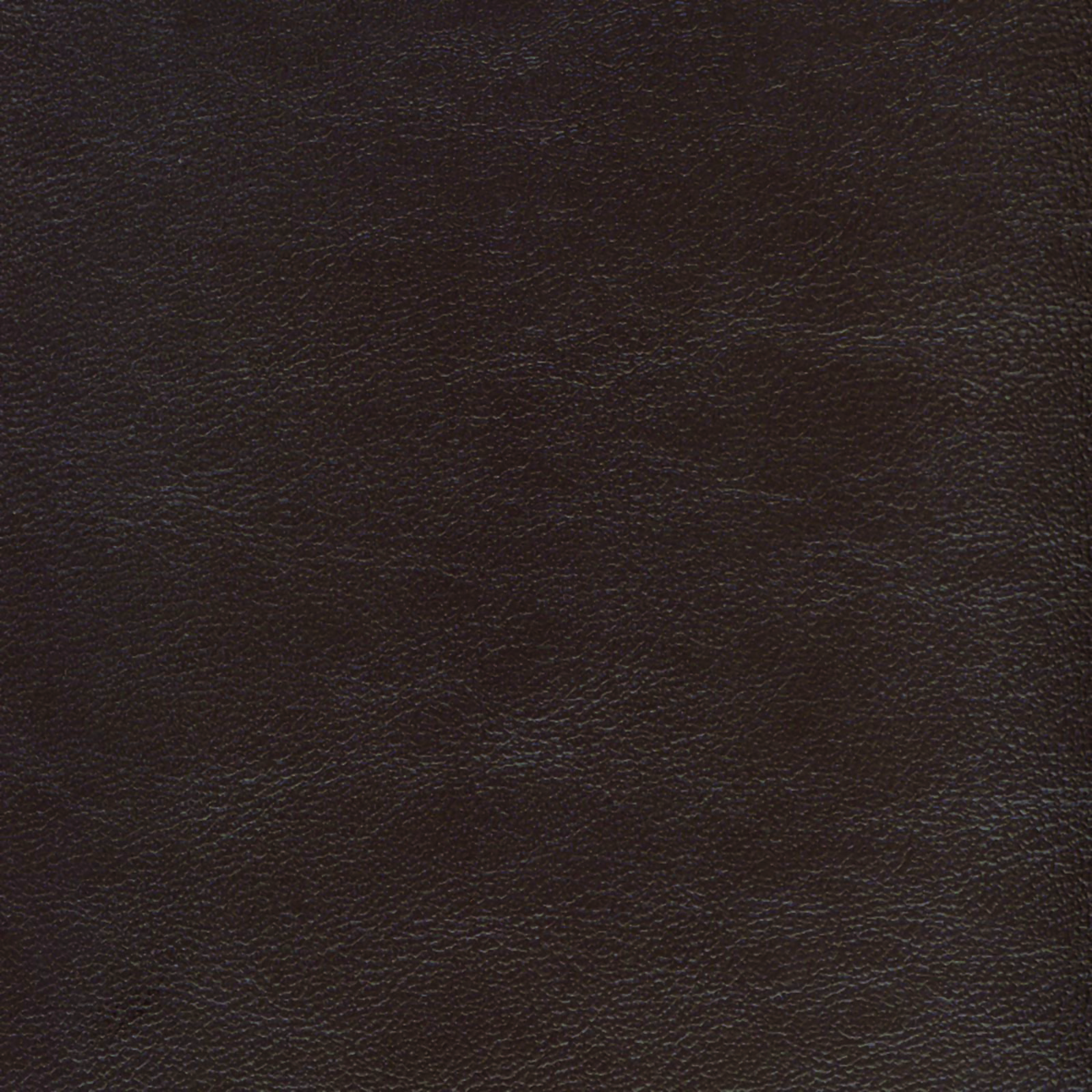 Savoy - SAV-9750 - Carob