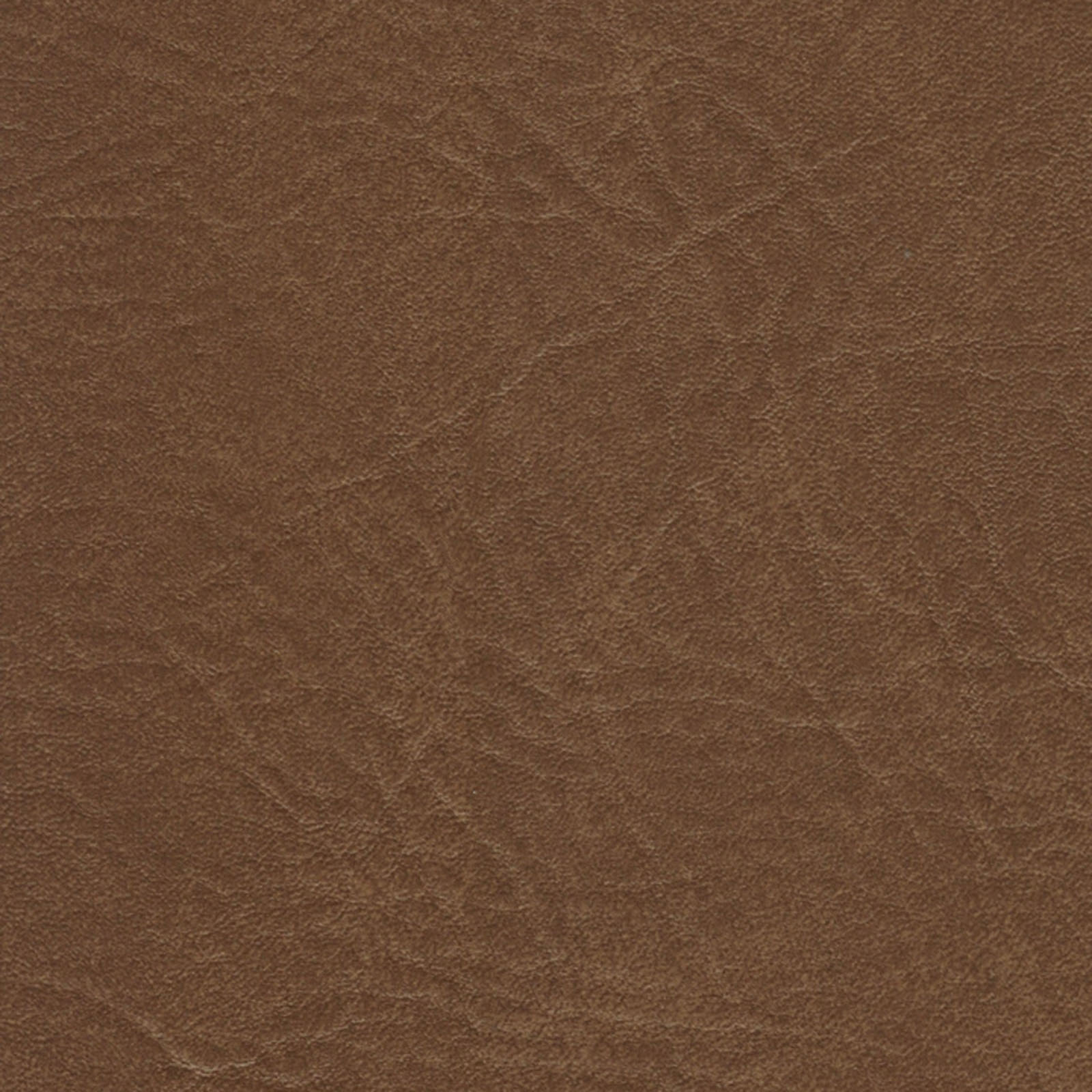 Seabreeze - SEA-0860 - Ginseng Brown