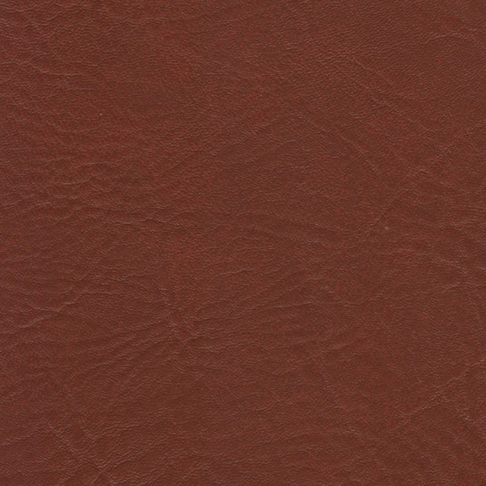 Seabreeze - SEA-0863 - Reel Red