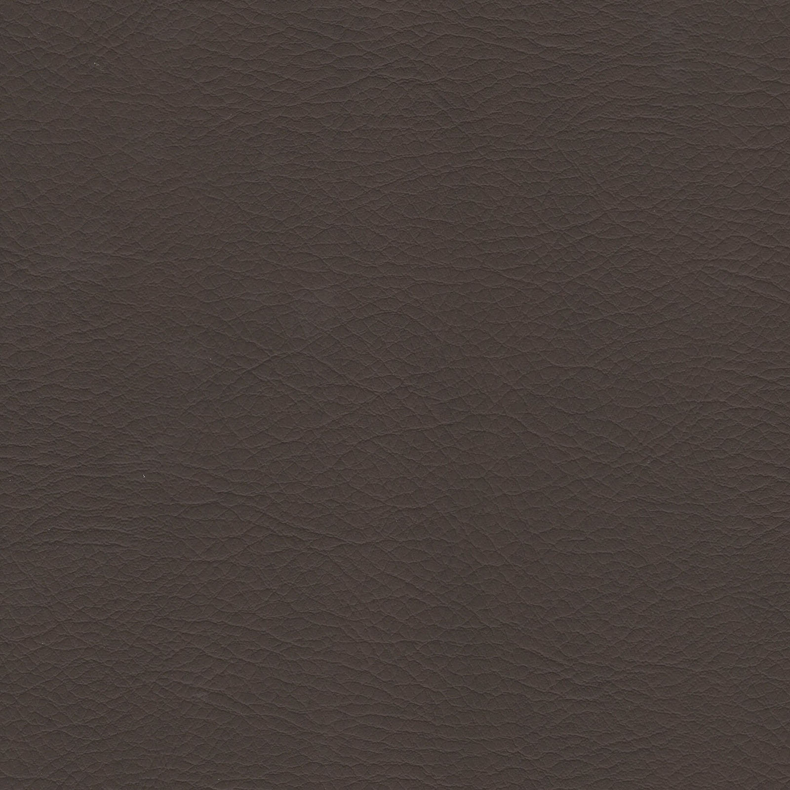 Whisper - WHI-2153 - Truffle