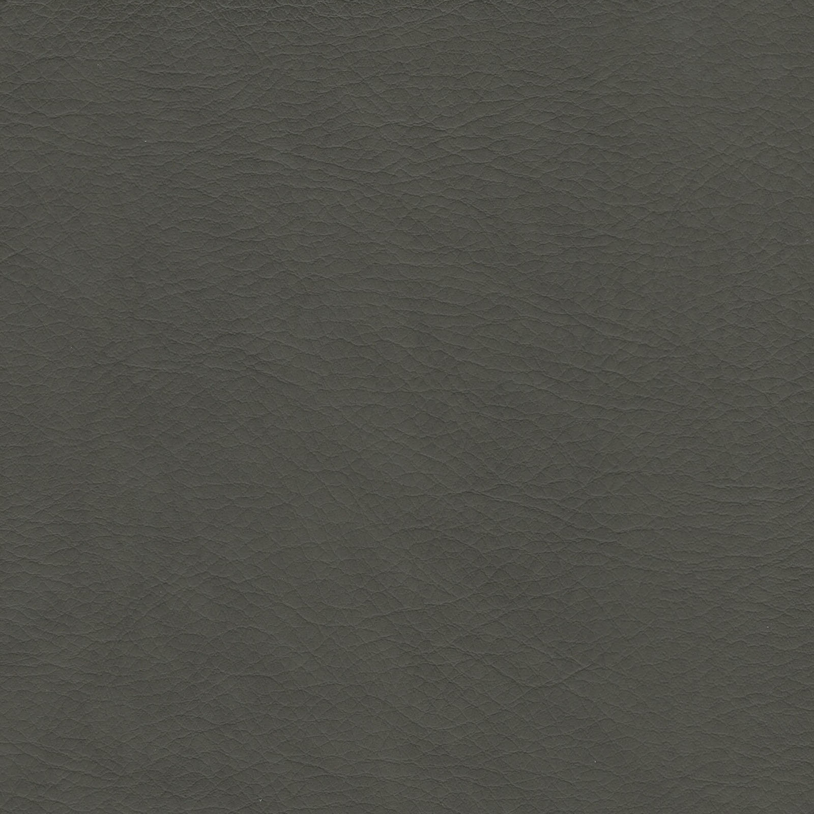 Whisper - WHI-2155 - Storm